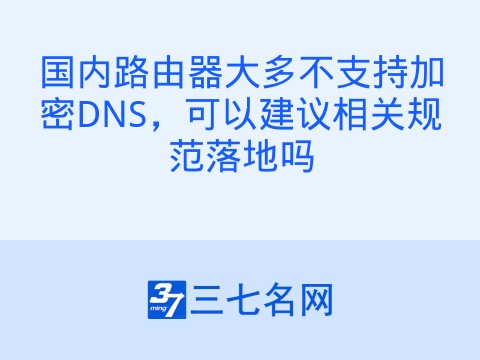 国内路由器大多不支持加密DNS，可以建议相关规范落地吗