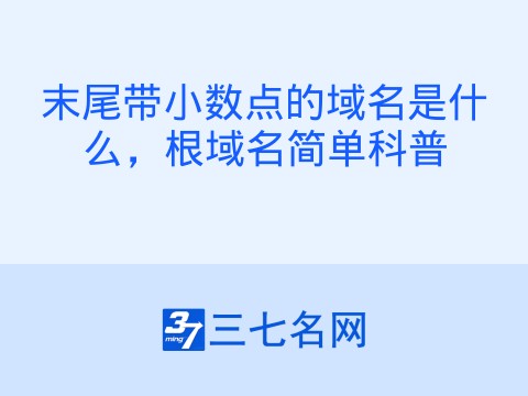 末尾带小数点的域名是什么,根域名简单科普
