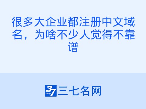 很多大企业都注册中文域名,为啥不少人觉得不靠谱