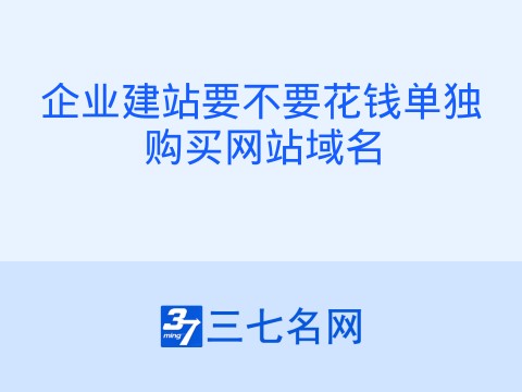 企业建站要不要花钱单独购买网站域名
