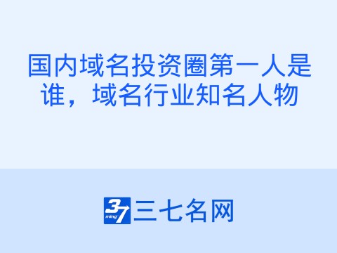 国内域名投资圈第一人是谁,域名行业知名人物