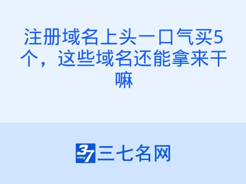 注册域名上头一口气买5个,这些域名还能拿来干嘛