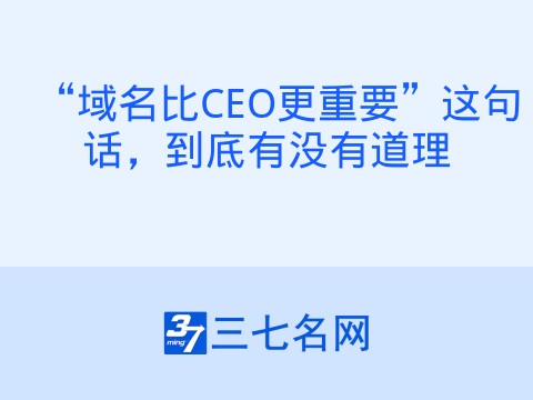“域名比CEO更重要”这句话,到底有没有道理