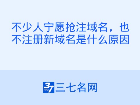 不少人宁愿抢注域名,也不注册新域名是什么原因