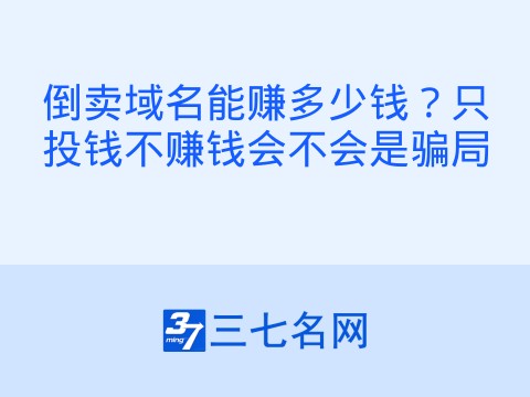 倒卖域名能赚多少钱？只投钱不赚钱会不会是骗局