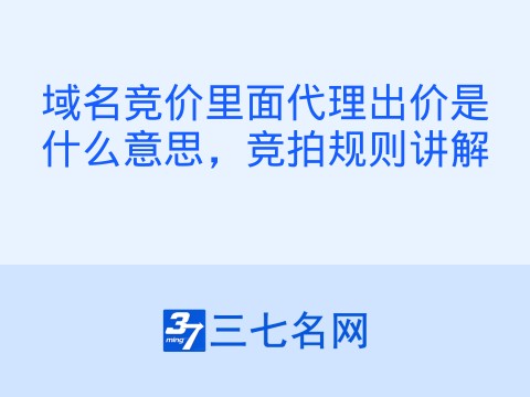 域名竞价里面代理出价是什么意思,竞拍规则讲解