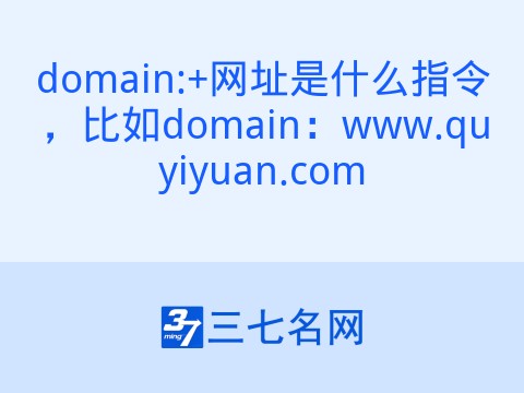 domain:+网址是什么指令，比如domain：www.quyiyuan.com