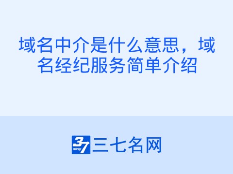 域名中介是什么意思,域名经纪服务简单介绍