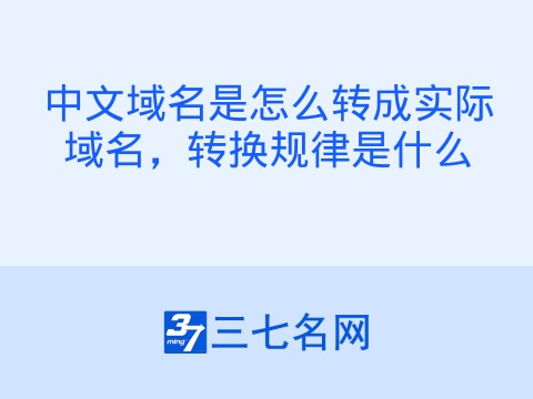 中文域名是怎么转成实际域名,转换规律是什么