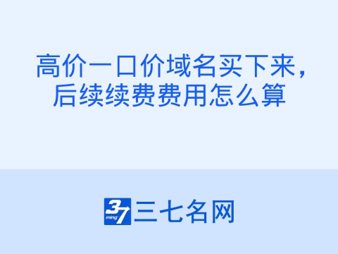 高价一口价域名买下来,后续续费费用怎么算