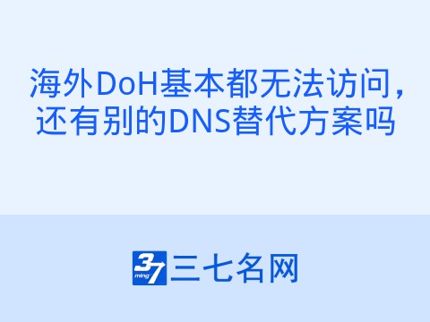 海外DoH基本都无法访问，还有别的DNS替代方案吗