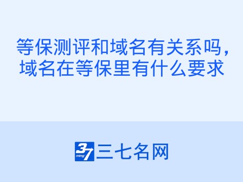 等保测评和域名有关系吗，域名在等保里有什么要求