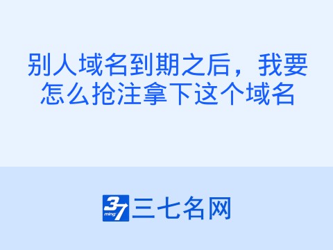 别人域名到期之后,我要怎么抢注拿下这个域名