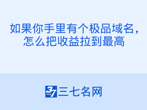 如果你手里有个极品域名,怎么把收益拉到最高