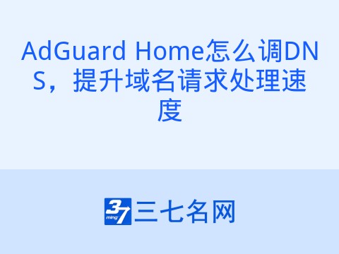 AdGuard Home怎么调DNS，提升域名请求处理速度