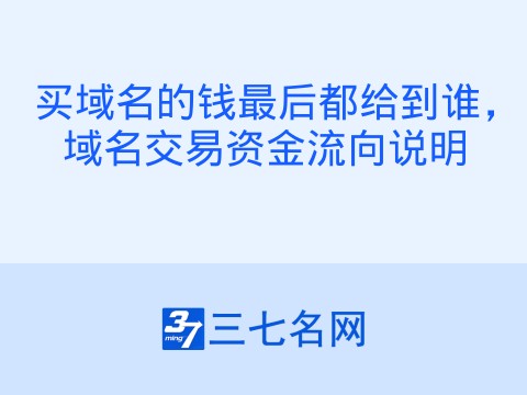 买域名的钱最后都给到谁,域名交易资金流向说明