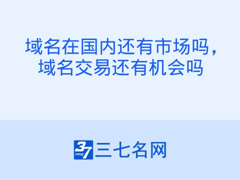 域名在国内还有市场吗,域名交易还有机会吗