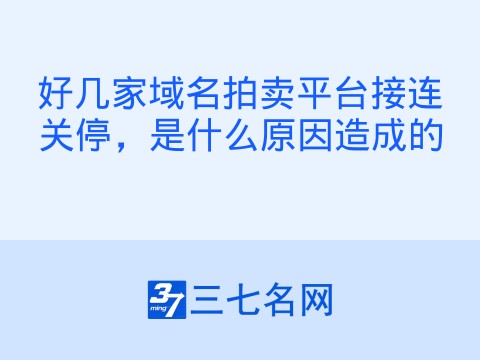 好几家域名拍卖平台接连关停,是什么原因造成的
