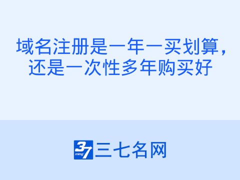 域名注册是一年一买划算,还是一次性多年购买好