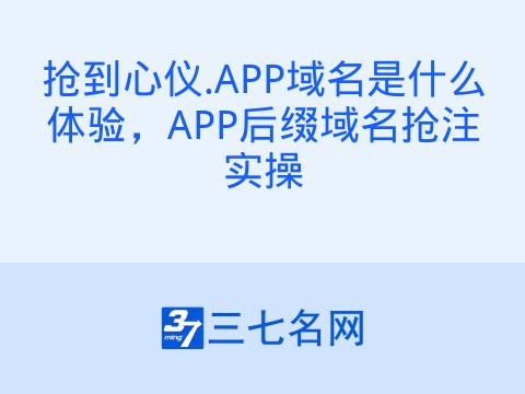 抢到心仪.APP域名是什么体验,APP后缀域名抢注实操