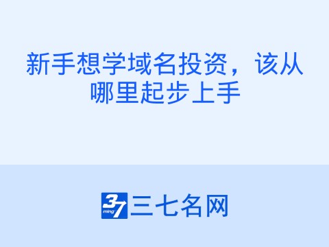 新手想学域名投资,该从哪里起步上手