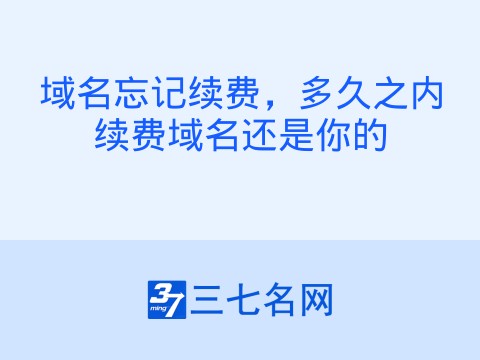 域名忘记续费,多久之内续费域名还是你的
