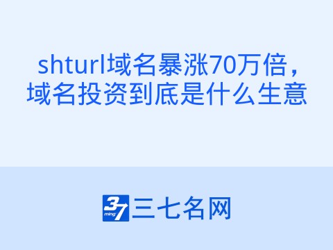shturl域名暴涨70万倍,域名投资到底是什么生意