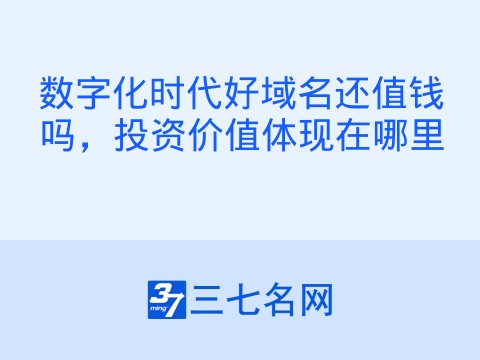 数字化时代好域名还值钱吗，投资价值体现在哪里