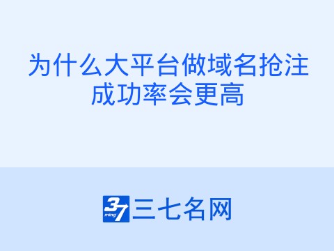 为什么大平台做域名抢注成功率会更高