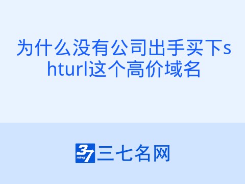 为什么没有公司出手买下shturl这个高价域名