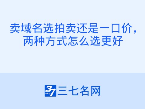 卖域名选拍卖还是一口价,两种方式怎么选更好