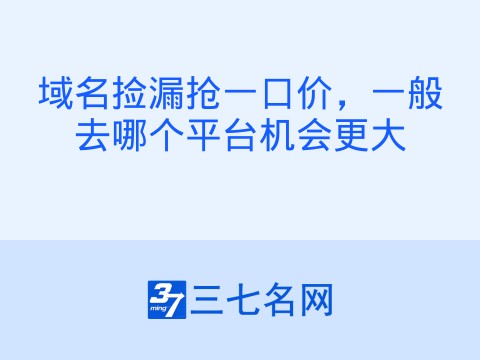 域名捡漏抢一口价,一般去哪个平台机会更大
