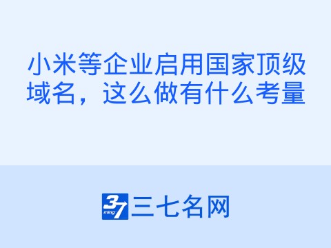 小米等企业启用国家顶级域名,这么做有什么考量