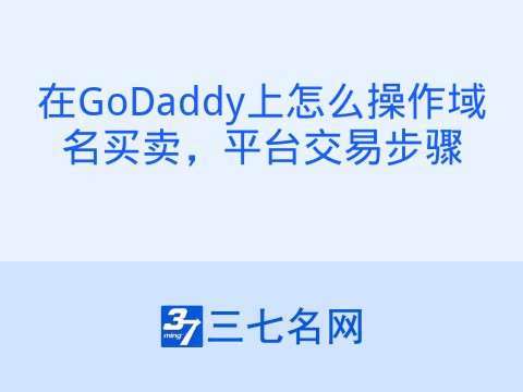 在GoDaddy上怎么操作域名买卖,平台交易步骤