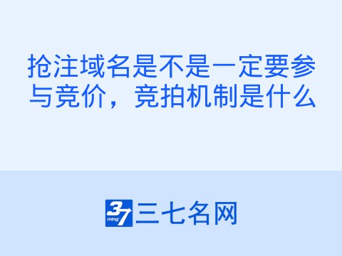 抢注域名是不是一定要参与竞价,竞拍机制是什么