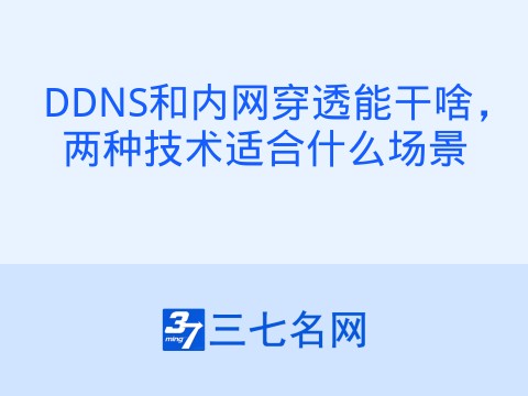 DDNS和内网穿透能干啥,两种技术适合什么场景
