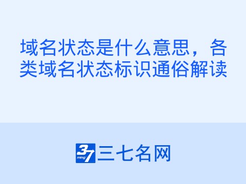 域名状态是什么意思,各类域名状态标识通俗解读