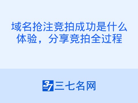 域名抢注竞拍成功是什么体验,分享竞拍全过程