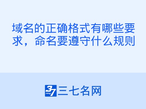 域名的正确格式有哪些要求,命名要遵守什么规则