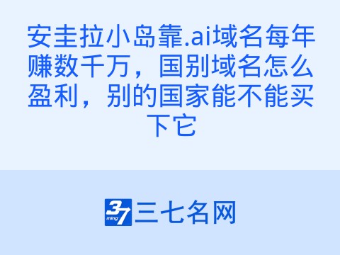 安圭拉小岛靠.ai域名每年赚数千万,国别域名怎么盈利,别的国家能不能买下它