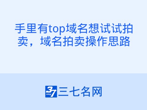 手里有top域名想试试拍卖,域名拍卖操作思路