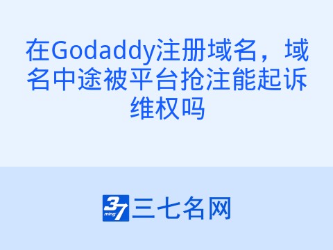 在Godaddy注册域名，域名中途被平台抢注能起诉维权吗