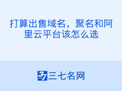 打算出售域名,聚名和阿里云平台该怎么选