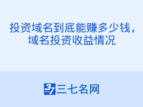 投资域名到底能赚多少钱,域名投资收益情况