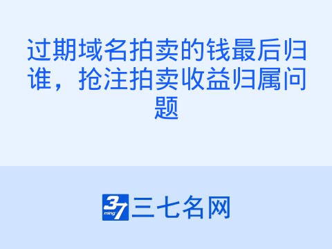 过期域名拍卖的钱最后归谁,抢注拍卖收益归属问题