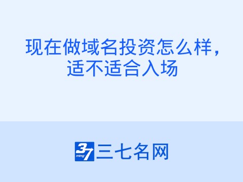 现在做域名投资怎么样,适不适合入场