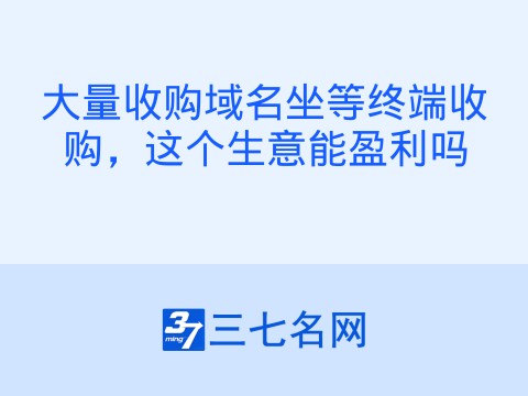 大量收购域名坐等终端收购,这个生意能盈利吗