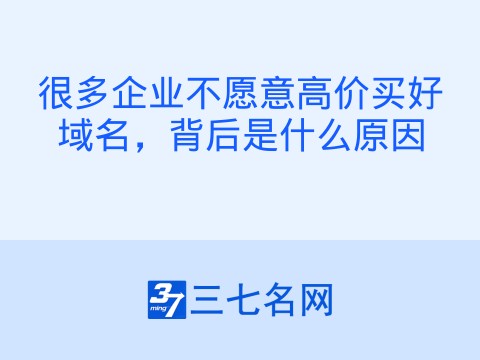 很多企业不愿意高价买好域名，背后是什么原因