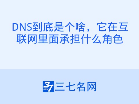 DNS到底是个啥,它在互联网里面承担什么角色