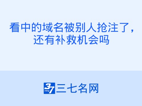 看中的域名被别人抢注了,还有补救机会吗